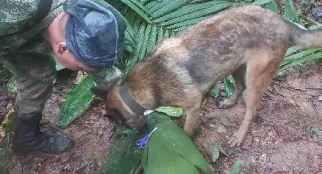 4 Children, Including Baby, Found Alive In Amazon
